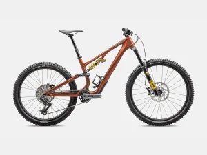 BICICLETA 29 SPECIALIZED STUMPJUMPER 15 OHLINS COILCOP/SATIN S3